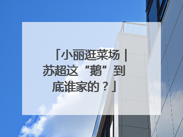 小丽逛菜场｜苏超这“鹅”到底谁家的？