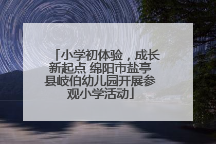 小学初体验，成长新起点 绵阳市盐亭县岐伯幼儿园开展参观小学活动