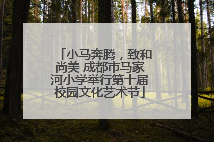 小马奔腾，致和尚美 成都市马家河小学举行第十届校园文化艺术节