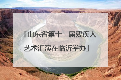 山东省第十一届残疾人艺术汇演在临沂举办