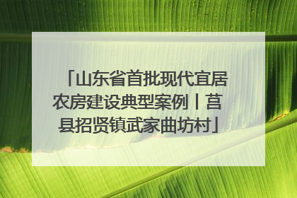 山东省首批现代宜居农房建设典型案例丨莒县招贤镇武家曲坊村