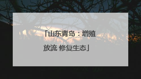 山东青岛：增殖放流 修复生态