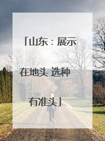 山东：展示在地头 选种有准头