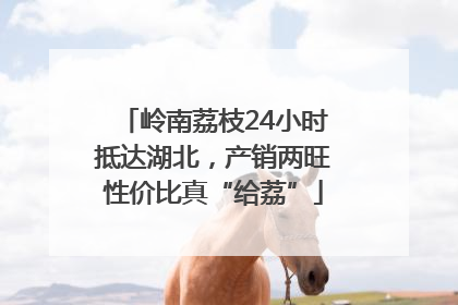 岭南荔枝24小时抵达湖北，产销两旺性价比真“给荔”