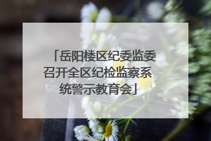 岳阳楼区纪委监委召开全区纪检监察系统警示教育会