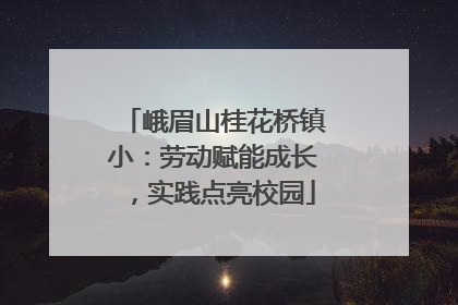 峨眉山桂花桥镇小：劳动赋能成长，实践点亮校园