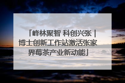 峰林聚智 科创兴张｜博士创新工作站激活张家界莓茶产业新动能
