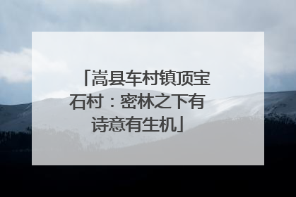 嵩县车村镇顶宝石村：密林之下有诗意有生机