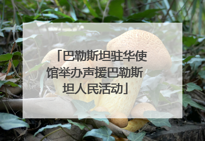 巴勒斯坦驻华使馆举办声援巴勒斯坦人民活动