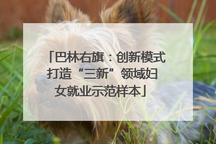 巴林右旗：创新模式 打造“三新”领域妇女就业示范样本