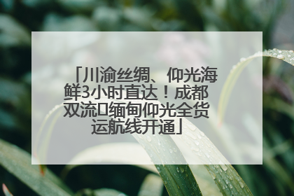 川渝丝绸、仰光海鲜3小时直达！成都双流⇌缅甸仰光全货运航线开通