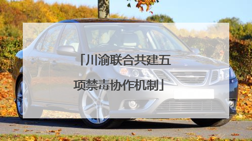 川渝联合共建五项禁毒协作机制