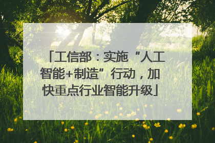 工信部：实施“人工智能+制造”行动，加快重点行业智能升级