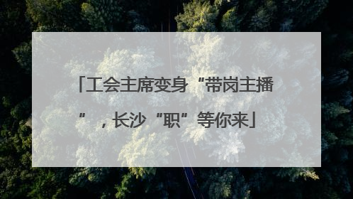工会主席变身“带岗主播”，长沙“职”等你来