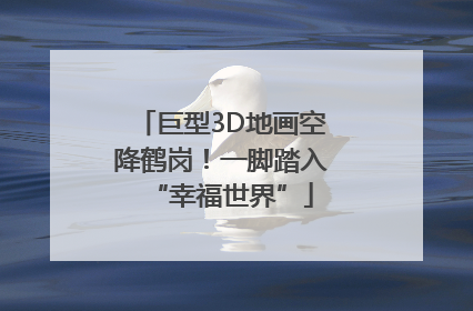 巨型3D地画空降鹤岗！一脚踏入“幸福世界”