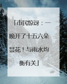 市民惊讶：一晚开了十五六朵昙花！与雨水均衡有关