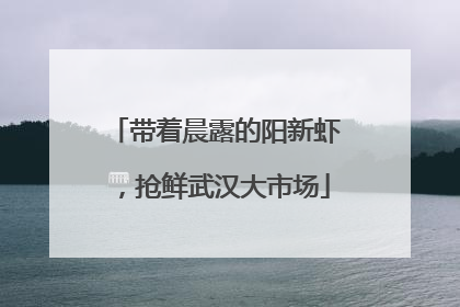 带着晨露的阳新虾，抢鲜武汉大市场