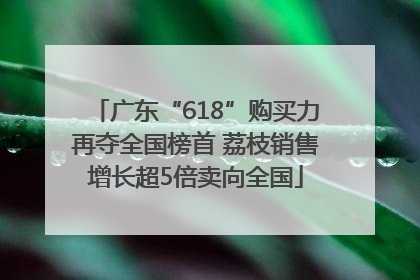广东“618”购买力再夺全国榜首 荔枝销售增长超5倍卖向全国