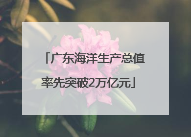 广东海洋生产总值率先突破2万亿元