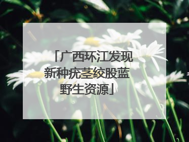 广西环江发现新种疣茎绞股蓝野生资源