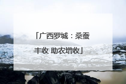 广西罗城：桑蚕丰收 助农增收