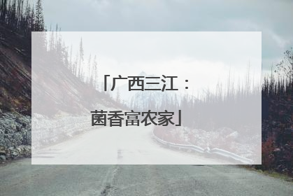 广西三江：菌香富农家