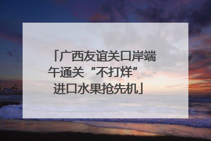 广西友谊关口岸端午通关“不打烊” 进口水果抢先机