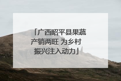 广西昭平县果蔬产销两旺 为乡村振兴注入动力
