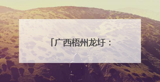广西梧州龙圩：动车飞驰过田野