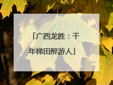 广西龙胜：千年梯田醉游人