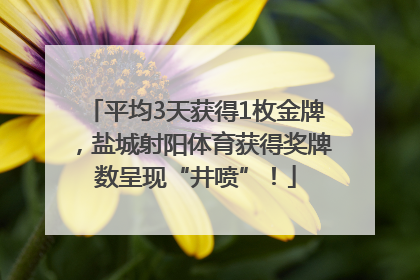 平均3天获得1枚金牌，盐城射阳体育获得奖牌数呈现“井喷”！