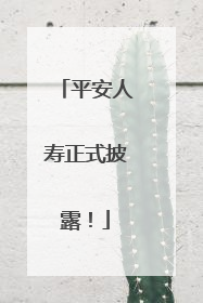 平安人寿正式披露！