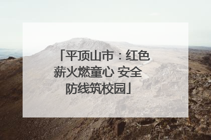 平顶山市：红色薪火燃童心 安全防线筑校园