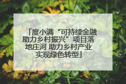 度小满“可持续金融助力乡村振兴”项目落地庄河 助力乡村产业实现绿色转型