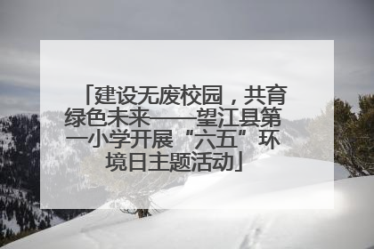 建设无废校园，共育绿色未来——望江县第一小学开展“六五”环境日主题活动