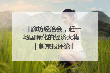廊坊经洽会，赶一场国际化的经济大集｜新京报评论
