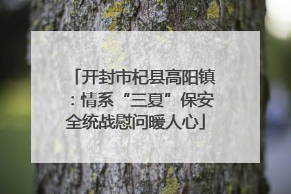 开封市杞县高阳镇：情系“三夏”保安全统战慰问暖人心