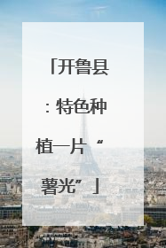 开鲁县：特色种植一片“薯光”