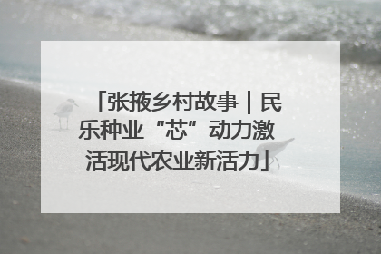 张掖乡村故事｜民乐种业“芯”动力激活现代农业新活力