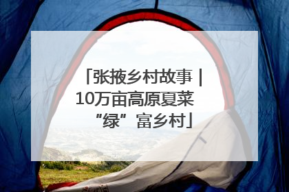 张掖乡村故事｜10万亩高原夏菜“绿”富乡村