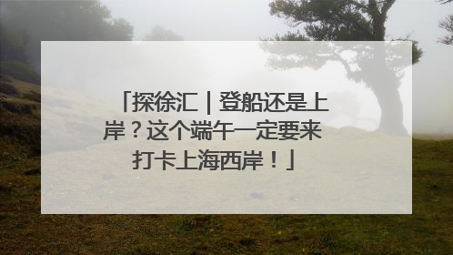 探徐汇｜登船还是上岸？这个端午一定要来打卡上海西岸！