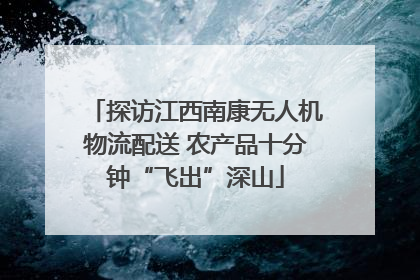 探访江西南康无人机物流配送 农产品十分钟“飞出”深山