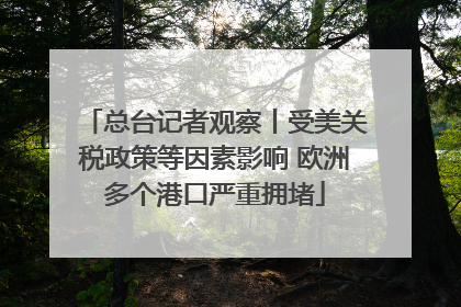 总台记者观察丨受美关税政策等因素影响 欧洲多个港口严重拥堵