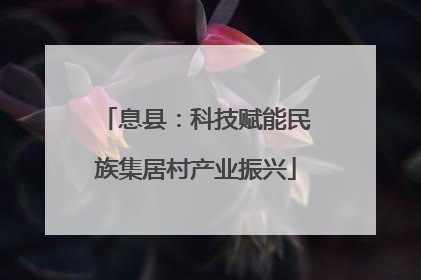 息县：科技赋能民族集居村产业振兴