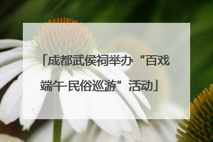成都武侯祠举办“百戏端午·民俗巡游”活动