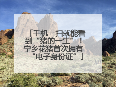 手机一扫就能看到“猪的一生”！宁乡花猪首次拥有“电子身份证”