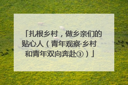 扎根乡村，做乡亲们的贴心人（青年观察·乡村和青年双向奔赴③）