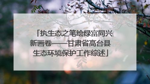 执生态之笔绘绿富同兴新画卷——甘肃省高台县生态环境保护工作综述