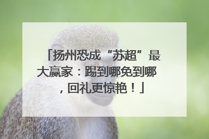 扬州恐成“苏超”最大赢家：踢到哪免到哪，回礼更惊艳！