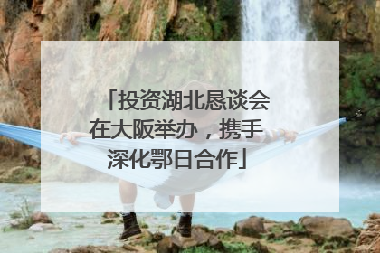 投资湖北恳谈会在大阪举办，携手深化鄂日合作